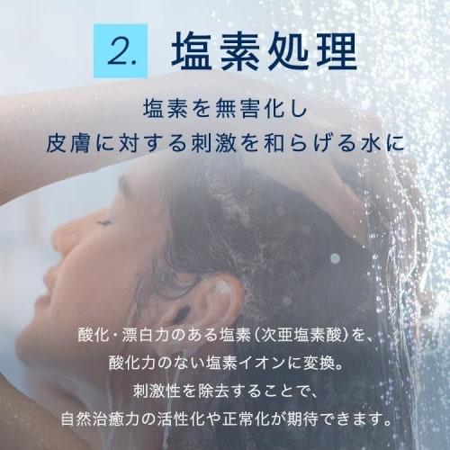 [Official Store] Ionac Replacement Filter Set of 2 for Shower Heads, Softens Water, Detoxifies Chlorine, Enhances Skin, Easy Installation, Made In Jap