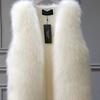 Neuer Herbst- und Winter-Imitat-Nerz-Weste Damen-Imitat-Pelzmantel Damen-Imitat-Fuchspelz-Weste Verdickte Pelzweste