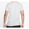 Nike Dri-Fit Logo Print Training Short Sleeve T-Shirt Men Tops Birch-Tree CT6391-051