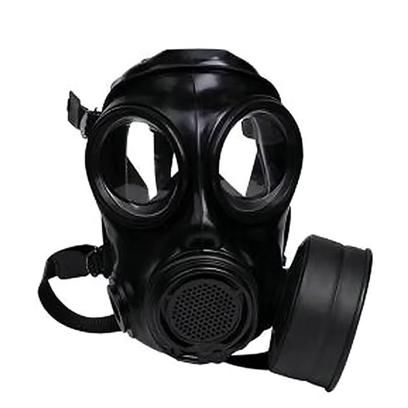 Lieve Full Face Protective Respirator
