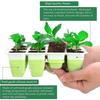 Seedling Starter Trays Reusable Houseplant Growing Trays Plant Propagator Station Pot Reusable Set Of 5 Germination Containers