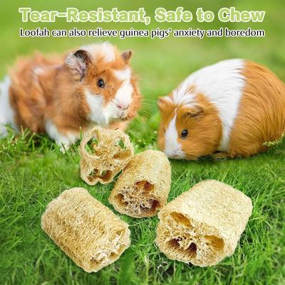 Indoor Bunny Toys 4 Pieces Loofah Chinchilla Chewing Supplies Small Animal Chew Toy For Pet Parents Shelters Shops Cats Dogs