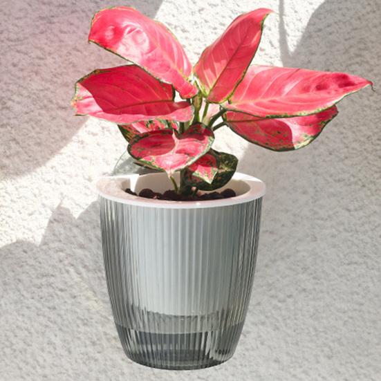 Self Watering Wall Mounted Flower Pot Double-Layer Root-Rotproof Plant Pot with Transparent Water Level for Indoor Plants Balcony Office Decor