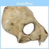 Animal Wolf Mask Halloween Prop With Resin Material For Costume Parties And Events