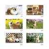 Shin Nippon Calendar 2027 Desk Shiba Inu Maru Walk NK8529