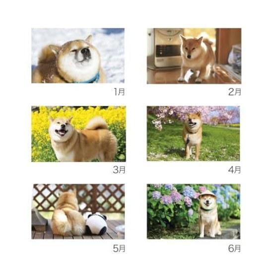 Shin Nippon Calendar 2027 Desk Shiba Inu Maru Walk NK8529