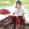 Girls' Chinese-Inspired Summer Hanfu Set – Ming & Tang Dynasty Style