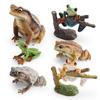 Childrens Wild Animal Pvc Collection With Realistic Tree Frog And Toad Figurines For Educational Play