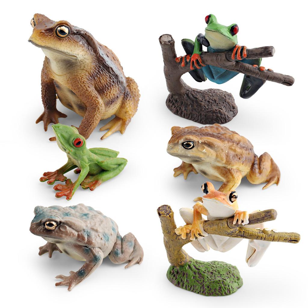 Childrens Wild Animal Pvc Collection With Realistic Tree Frog And Toad Figurines For Educational Play