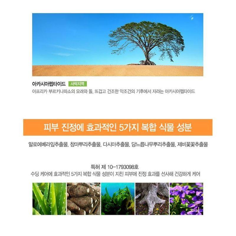 The Saem - Eco Earth Waterproof Sun Stick