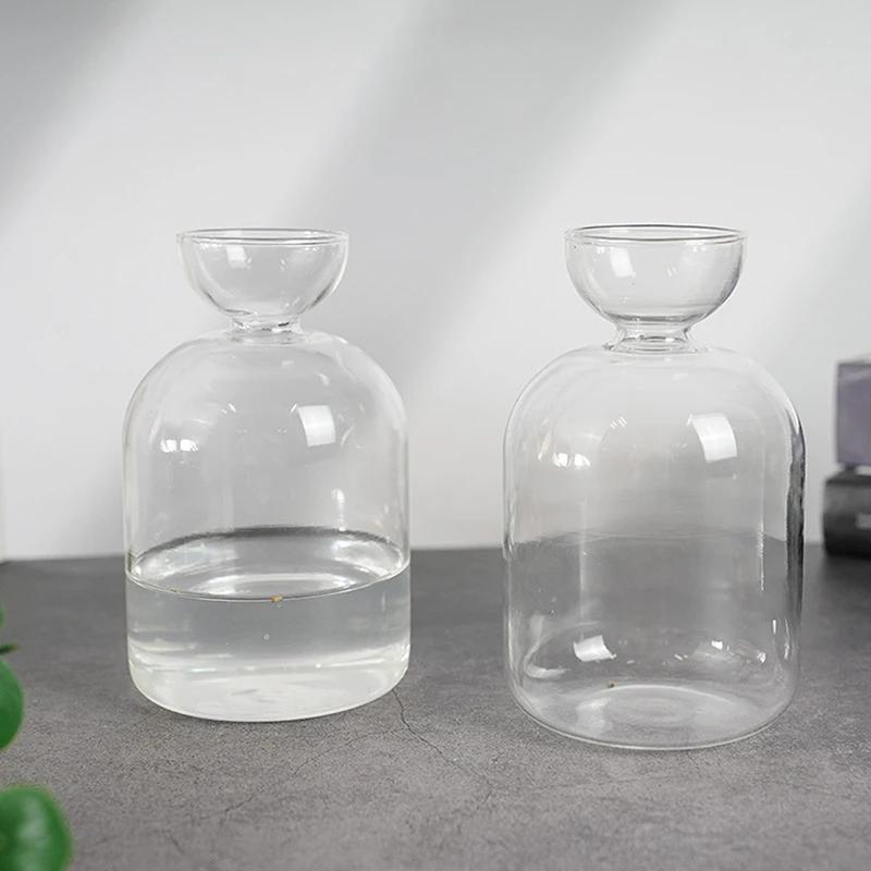 Transparent Glass Avocado Seed Starter Vase Growing Plant Kit - Eco-Friendly Gardening Lovers Gift