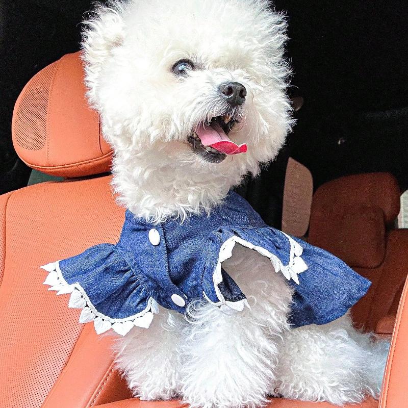 1pc Pet Clothes Strawberry Dress for Small Dogs & Cats, Cute Outfit for Puppies and Kittens