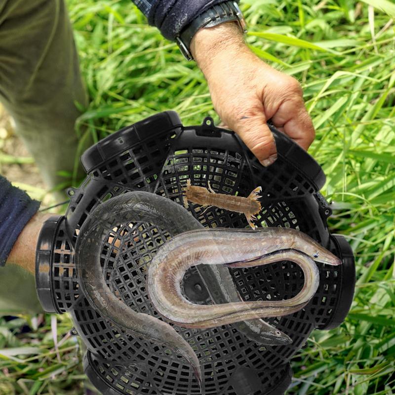 3/6/8 Holes Catch Loach Lobster Mixed Fish Crayfish Catcher Outdoor Fishing Net Cage Plastic Shrimp Trap Cage Easy to Install