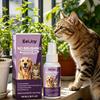 EelJoy No Brushing Pet Oral Care Spray Removes Oral Odor Supports Gum Health Convenient Gentle Pet Breath Freshener Spray 100ml