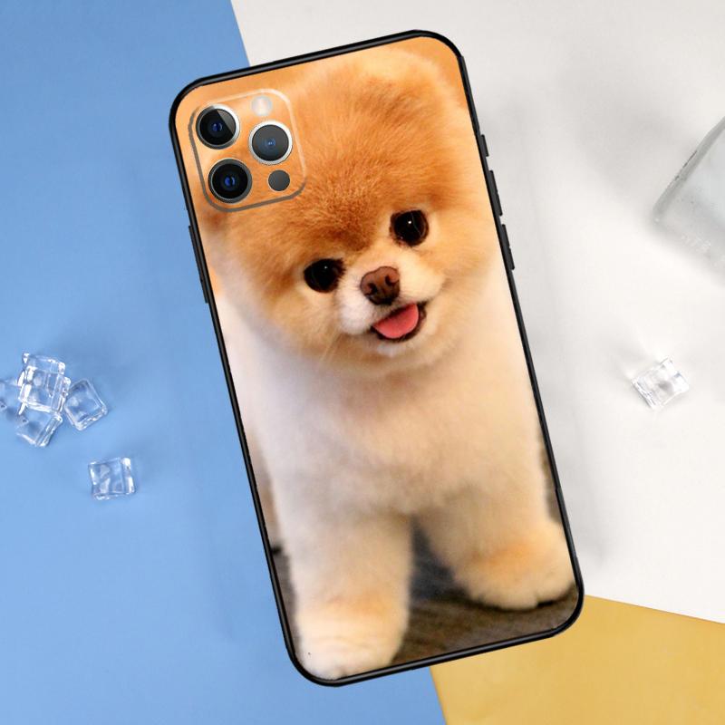 Pomeranian Dog Phone Case For iPhone 16 Pro Max 12 13 Mini 11 14 15 Pro Max XR 16 15 Plus 16e Cover Shell