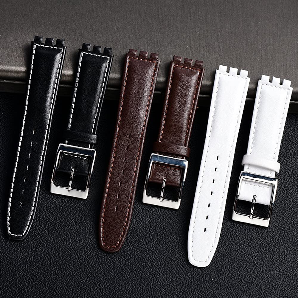 ZHUOLEI Swatch Watch Includes 3 Spring Spring Bar and Box Strap, 17mm/19mm, Black, Bars, Remover,