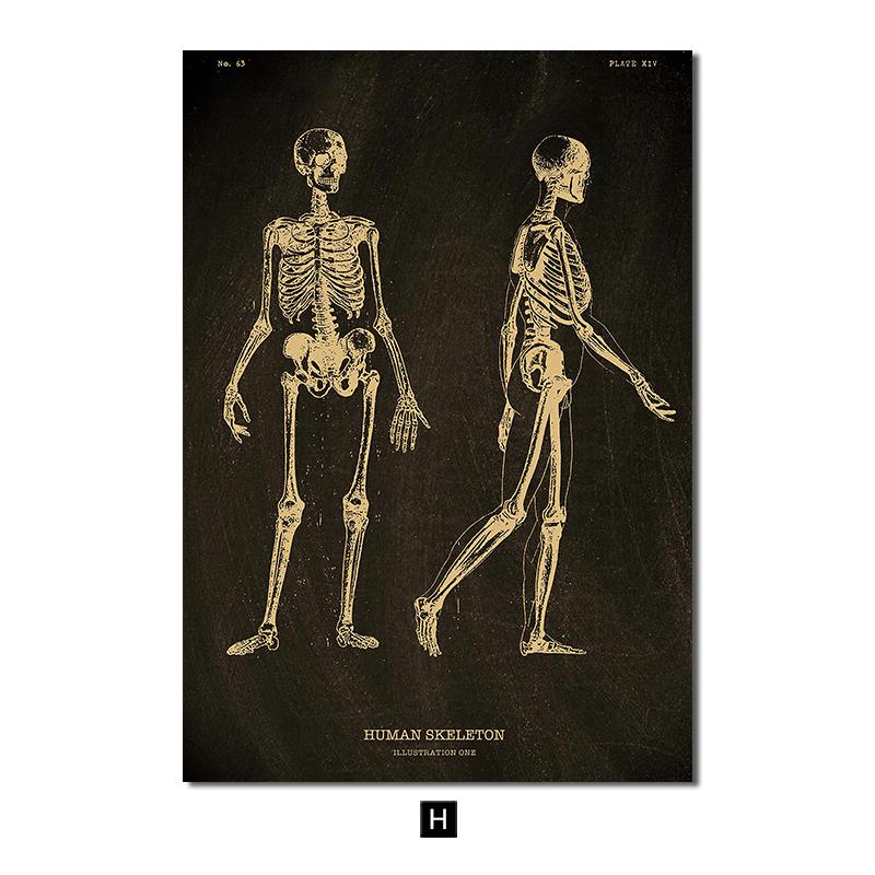 Δομή ανθρώπινης ανατομίας Vintage αφίσα Εκτύπωση σκανδιναβικής τέχνης καμβά με χρυσό σκελετό όργανα Ζωγραφική εικόνες τοίχου Ιατρική διακόσμηση σπιτιού