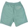 Polo Ralph Lauren SS24 Logo Embroidered Striped Elastic Waist Beach Shorts Men Shorts Green 710905990-004