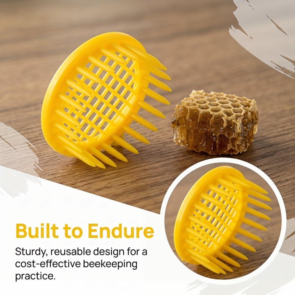 6Pcs Durable Queen Bee Rearing Box Plastic Bee Rearing Tool Ventilated Queen Bee Cage  Beekeeping