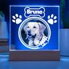 Custom Pet Photo Night Light Pet Growth Memorial Plaque Frame Personalized Custom Pet Picture Ornament Record Life Highlight