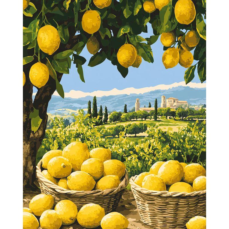 GATYZTORY DIY Coloring By Number Lemon Kits Painting By Number Modern Drawing On Canvas HandPainted Art For Living Room Wall Gif
