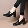 Autumn new thick heel women's shoes comfortable and simple classic fashion single shoes women