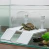 Double Ramp Hanging Turtle Basking Platform with Hooks Removable Floating Turtle Dock Non-Slip Feeding Box
