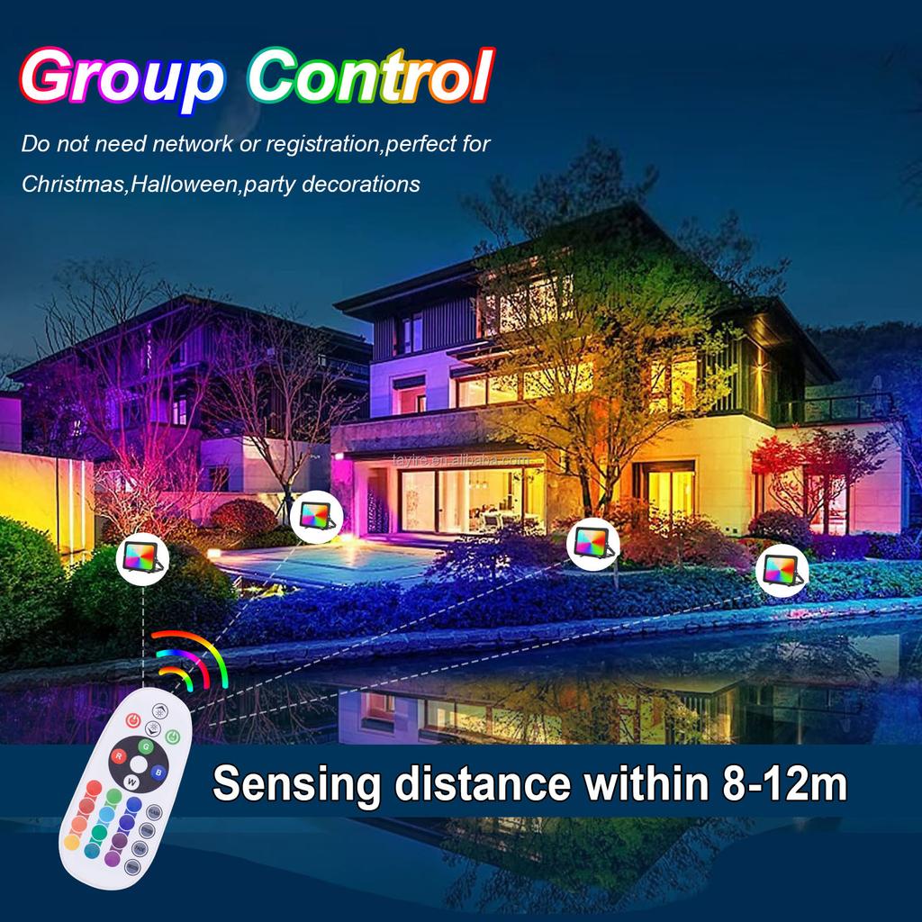European Stock RGB Led Floodlight with EU Plug 50W 100W Multicolor Remote Control Memory Function 16Modes Led Lamp RGB Projector