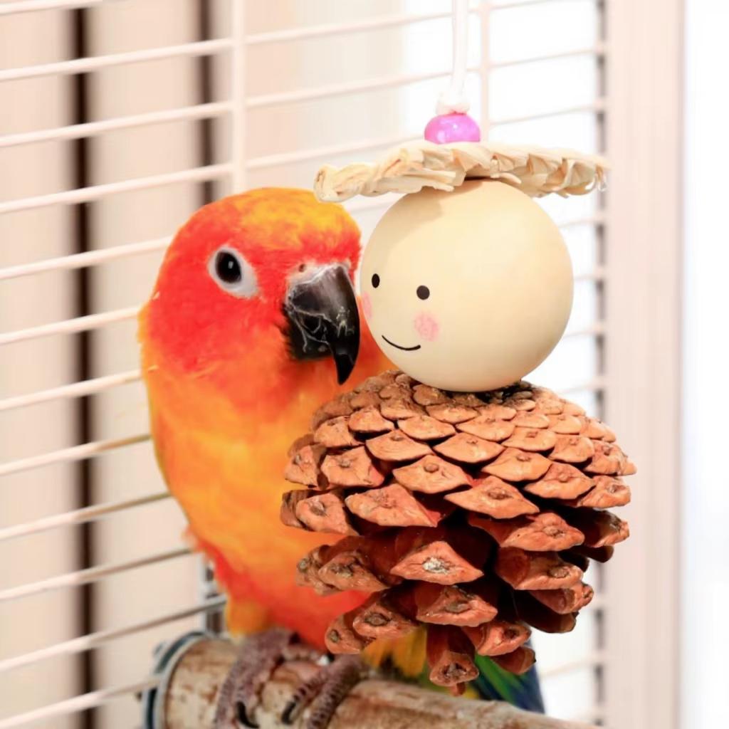 Natural Pinecone Chew Toy Cute Eco-Friendly Bird Beak Grinding Boredom Relief Ornament Bird Cage Decoration Pet