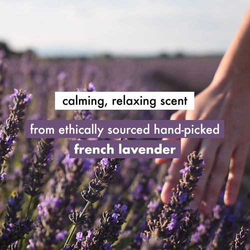 Love Beauty And Planet Kombination aus natürlichem Arganöl und Lavendel, Anti-Frizz, glättendes Shampoo und Spülung (200 ml + 200 ml)