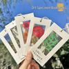Dried Flower & Plant Specimens Transparent Glass Bookmarks with Labels & Memo Notes