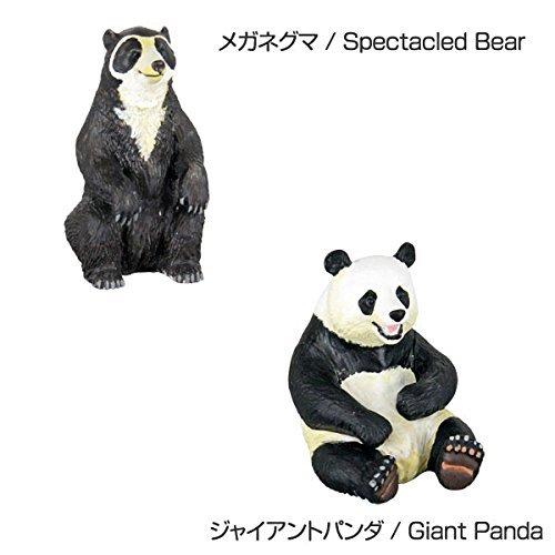 Colorata World Bear Figurine 3D Encyclopedia (Bears / 8 types / with explanatory booklet) Realistic Figurine Box Toy Educational Toy Gift Food Sanitat