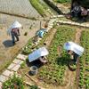 Heat Insulation Sunscreen Cape Aluminum Foil Elastic Sun Cloak  Outdoor Farm Work
