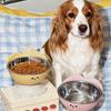 High-Legged Cat Feeding Bowl Anti-Slip No Spill Stainless Steel Dog Bowl Removable Large-Capacity Raised Bowl