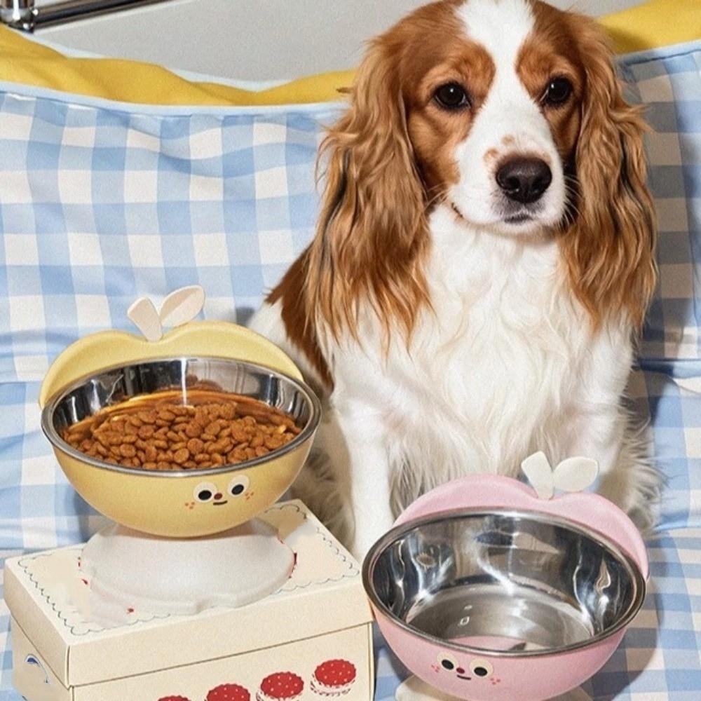 High-Legged Cat Feeding Bowl Anti-Slip No Spill Stainless Steel Dog Bowl Removable Large-Capacity Raised Bowl