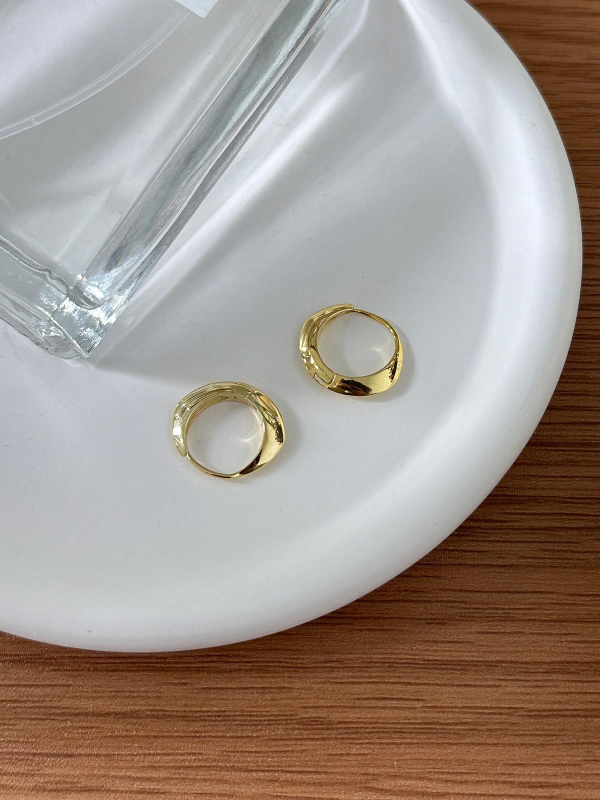 

925 Silver Needle Plain Ring Earrings Women s Geometric Personality ins Fashion New Trendy Earrings Niche Design Premium Earrings 925 silver needles