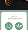 Unpainted Golden Sandalwood Multi-Tooth Scalp Massage Comb - Portable and Fine-Tooth Meridian Smoothing Comb