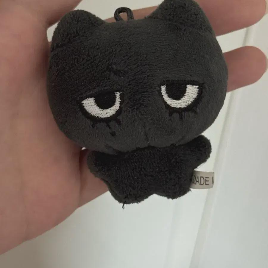 

Boynextdoor Тэсан Тэгяко