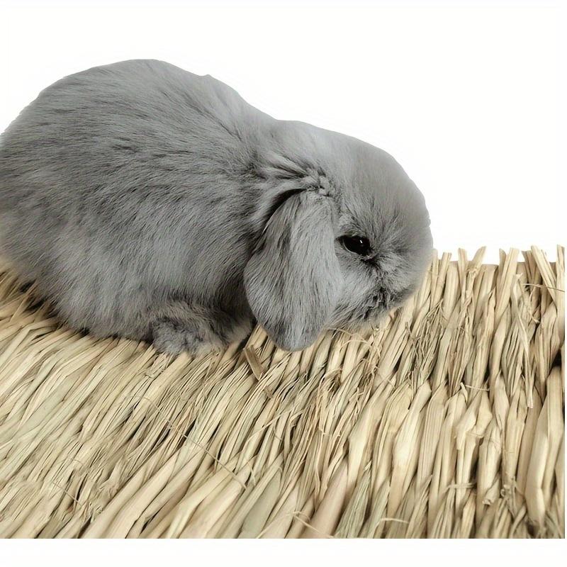 Natural Pet Grass Mat Hamster Small Animal Bed Safe Chew Toy For Rabbit Hedgehog Pet Supplies Natural Grass Hamster Bed Mat