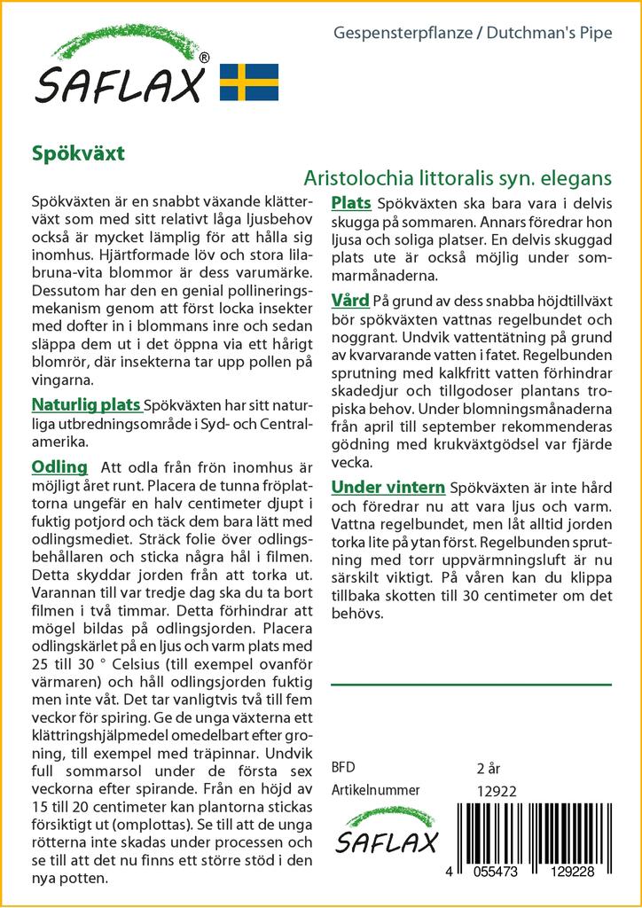 SAFLAX מקטרת ההולנדי - 80 זרעים - Aristolochia littoralis