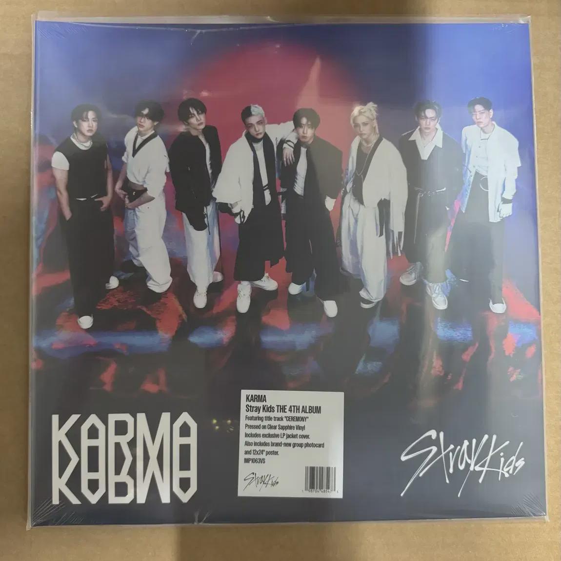 

Straykids Винил