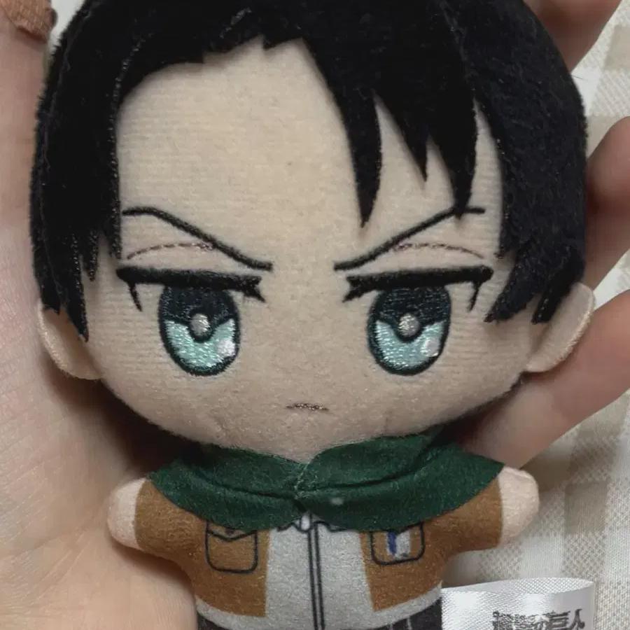 

Until The 31st) Attack On Titan Levi