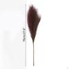 5Pcs 70cm Artificial Pampa Grass Dried Branches Stems Faux Bulrush Reed Flower For Vase