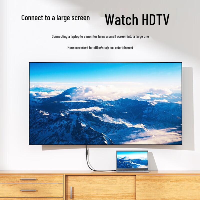 Shengwei HDMI To DVI Adapter