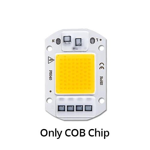110V 220V 20W 30W 50W COB LED Chip Beads with 60/120 Degree Lens Reflector Smart IC COB Chip Array Matrix DIY Floodlight