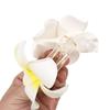 Leggero Fermaglio per Capelli in Resina Plumeria per Donna Comodo Accessorio per Vacanze al Mare con Fiore Realistico