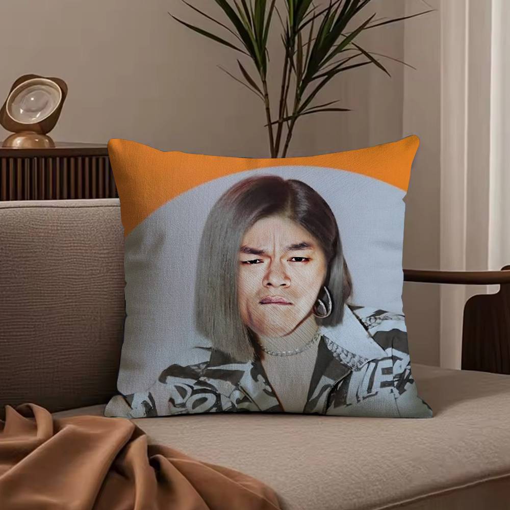 Funny J-JYP Meme Pillow Case Anti-dustmite Pillowcase Invisible zipper silky short plush Sofa cushion cover