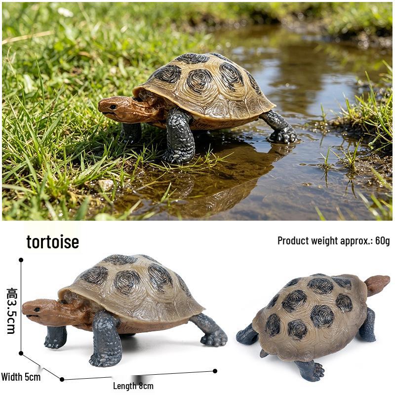 Children's Cognitive Marine Animal Models: Sea Turtle and Tortoise Toys