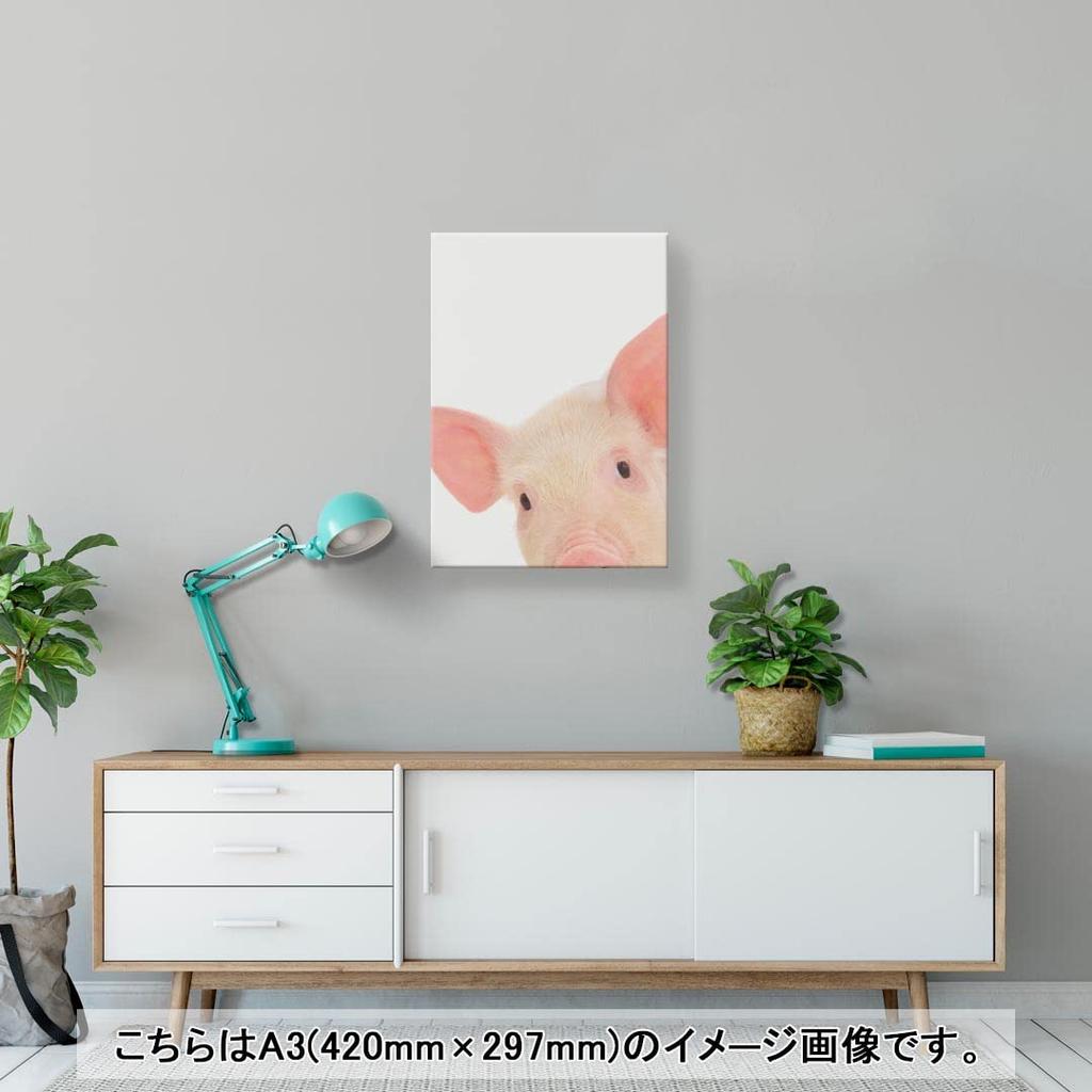 Art Panel Painting Decoration Igsticker 420mm X 297mm A3 Photo Wall Hanging Wooden Frame Interior Stylish 002775 Animal Pig Animal Photo