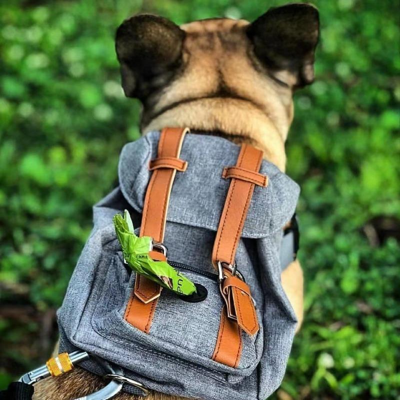

Retro British Dog Self Back Pack Carrying Hiking Bag Travel Packed Dog Poop Bags Backpack Dogs Self Outdoor Walking Pet Supplies синій